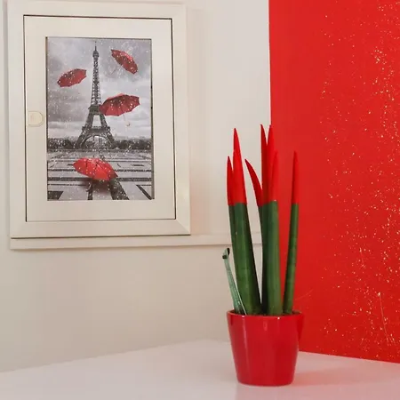 Colourful Lejlighed Argostoli (Kefalonia)